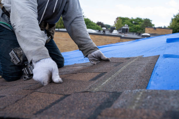 Best Local Roofing Companies  in Fostoria, OH